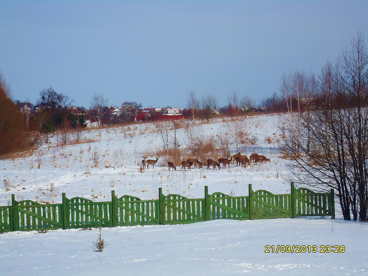 Mazurska Chata Jezioro I Aquapark 6 Min, Centrum I Promenada 12 Min Mikolajki  Exterior photo